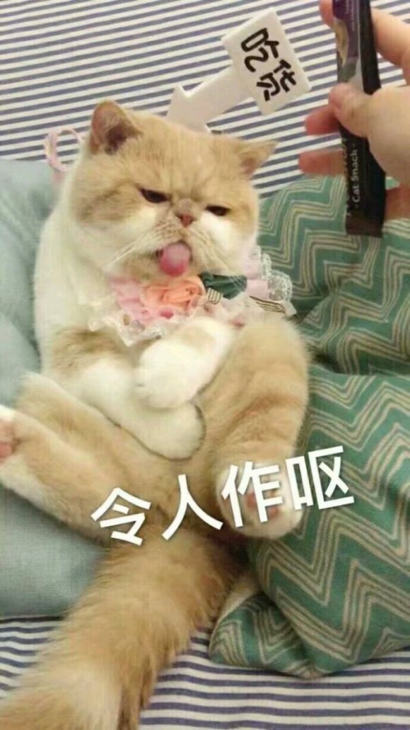 微信搞笑群聊斗图表情包2020/8/4（二）