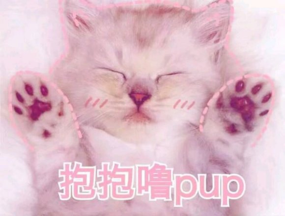 微信搞笑群聊斗图表情包2020/8/4（二）