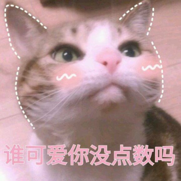 微信搞笑群聊斗图表情包2020/8/4（二）