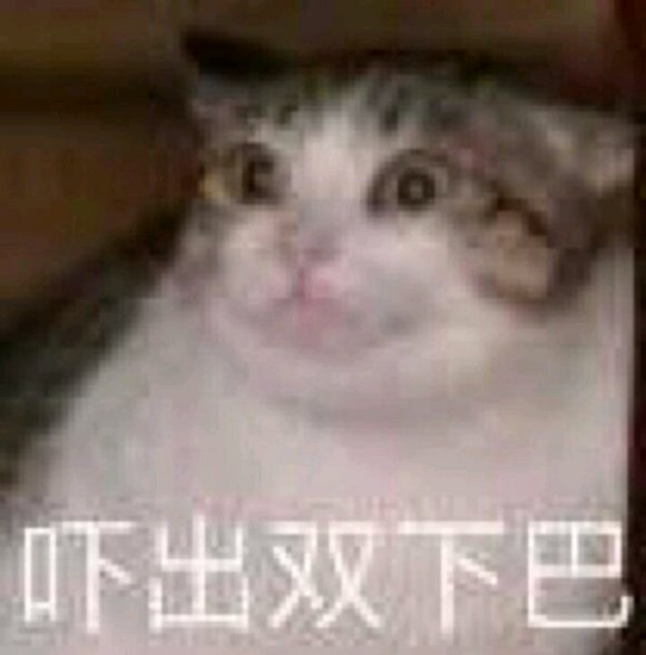 微信搞笑群聊斗图表情包2020/8/4（二）