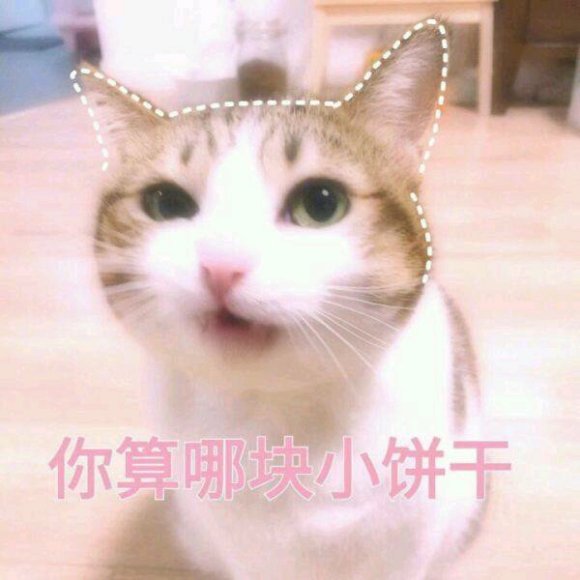 微信搞笑群聊斗图表情包2020/8/4（二）