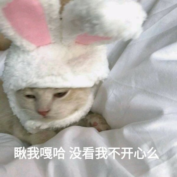 微信搞笑群聊斗图表情包2020/8/5