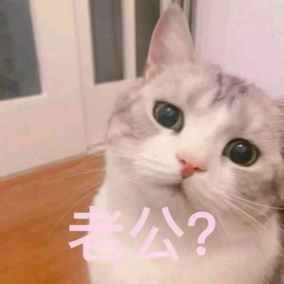 微信搞笑群聊斗图表情包2020/8/5（二）