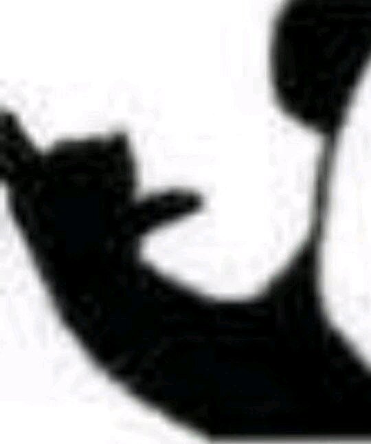 微信搞笑群聊斗图表情包2020/8/5（二）