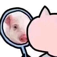 微信搞笑群聊斗图表情包2020/8/5