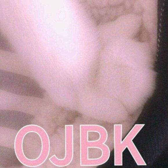 微信搞笑群聊斗图表情包2020/8/5(二)