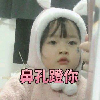 微信搞笑群聊斗图表情包2020/8/5(二)