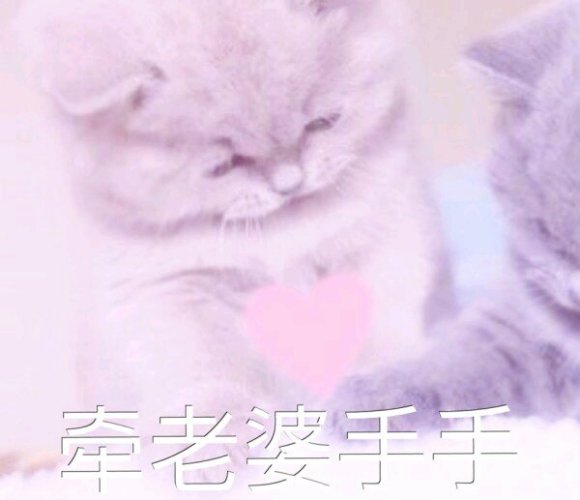 微信搞笑群聊斗图表情包2020/8/5