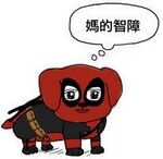 妈的智障微信聊天表情包