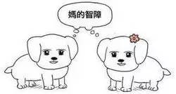 妈的智障微信聊天表情包