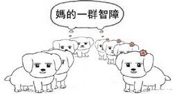 妈的智障微信聊天表情包