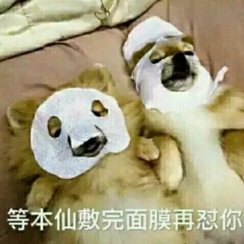 微信近期斗图恶搞表情2020/8/7（二）