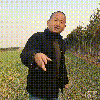 一组魔性的动态搞笑微信表情包