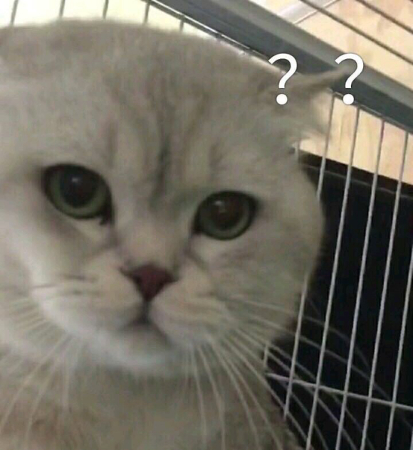 微信近期斗图恶搞表情2020/8/13