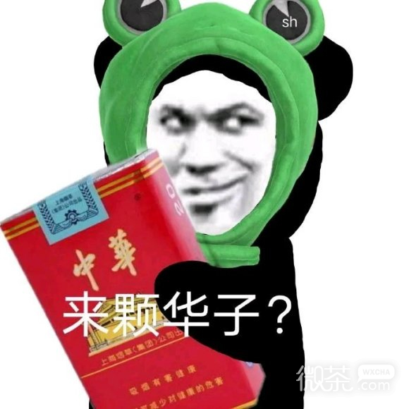 微信近期斗图恶搞表情2020/8/13（二）