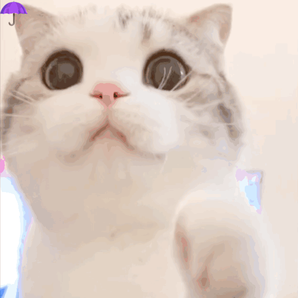 微信近期斗图恶搞表情2020/8/13