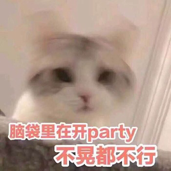 微信近期斗图恶搞表情2020/8/13