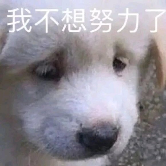 微信近期斗图恶搞表情2020/8/13