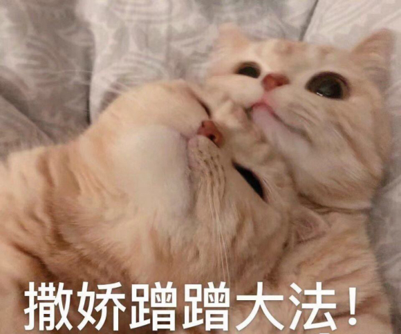 微信近期斗图恶搞表情2020/8/13