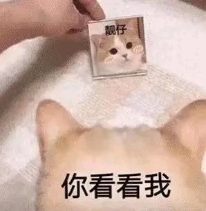 微信近期斗图恶搞表情2020/8/13