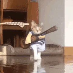 微信近期斗图恶搞表情2020/8/13