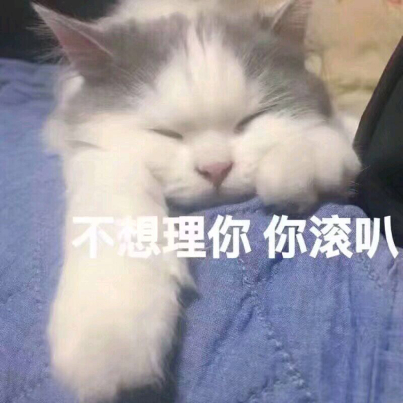 微信近期斗图恶搞表情2020/8/13