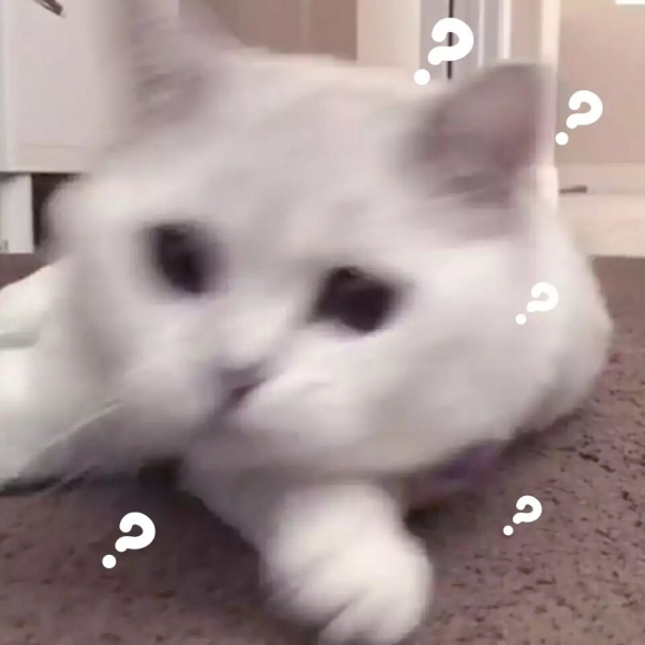 微信近期斗图恶搞表情2020/8/13