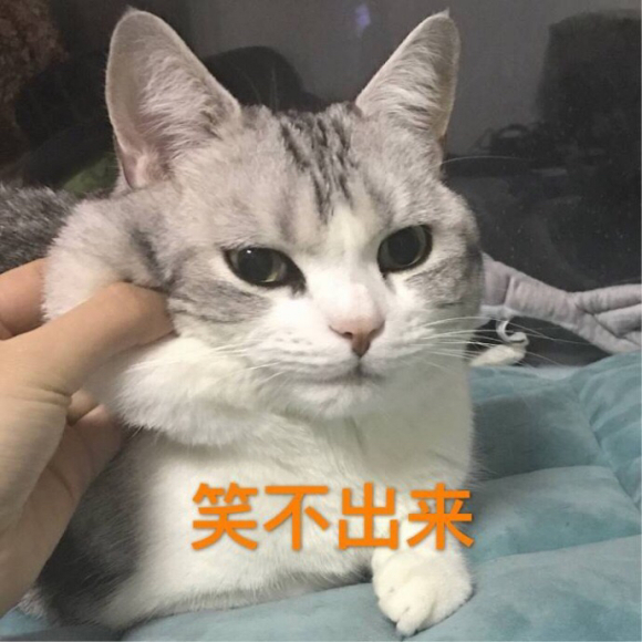 微信近期斗图恶搞表情2020/8/13