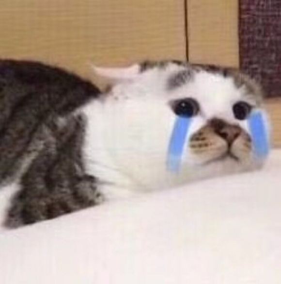 微信近期斗图恶搞表情2020/8/13