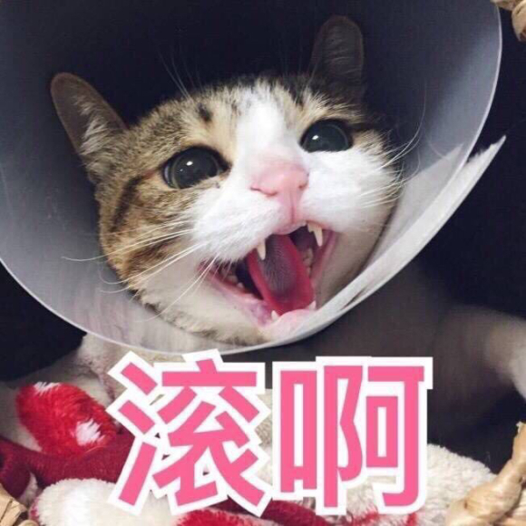 微信近期斗图恶搞表情2020/8/13