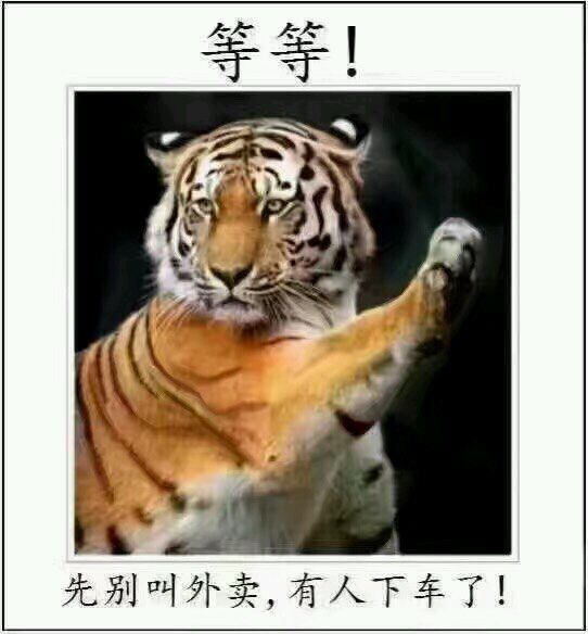 微信近期斗图恶搞表情2020/8/13