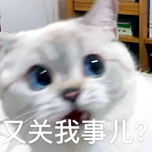 微信近期斗图恶搞表情2020/8/13