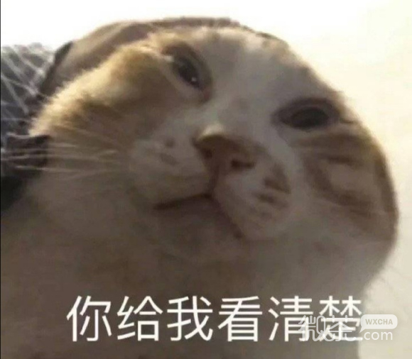 微信近期斗图恶搞表情2020/8/14