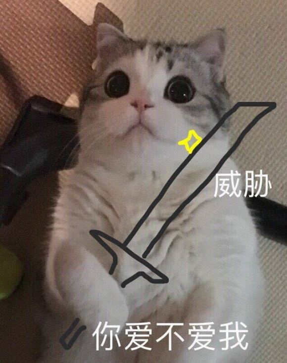 微信近期斗图恶搞表情2020/8/15