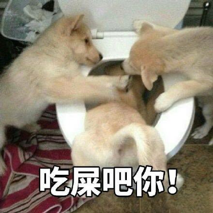 微信近期斗图恶搞表情2020/8/15(二)