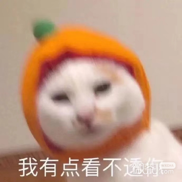 微信近期斗图恶搞表情2020/8/14