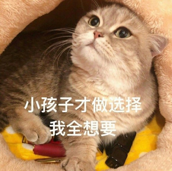 微信近期斗图恶搞表情2020/8/14（二）