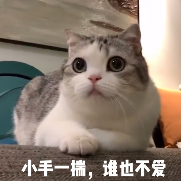 萌萌哒喵星人微信表情包