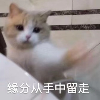 微信近期斗图恶搞表情2020/8/14（二）