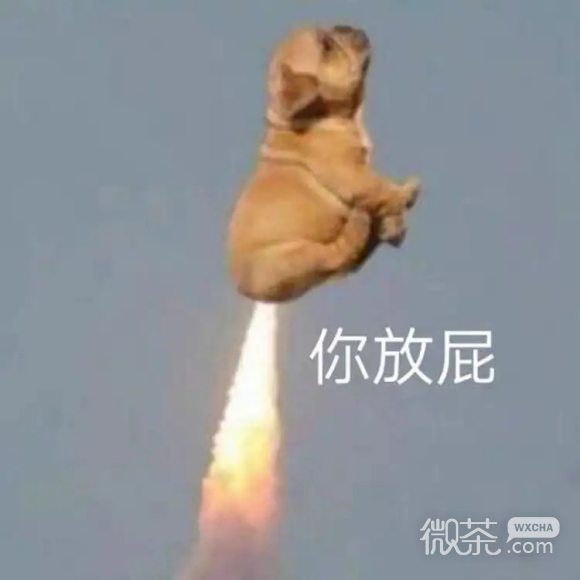 微信近期斗图恶搞表情2020/8/14（二）