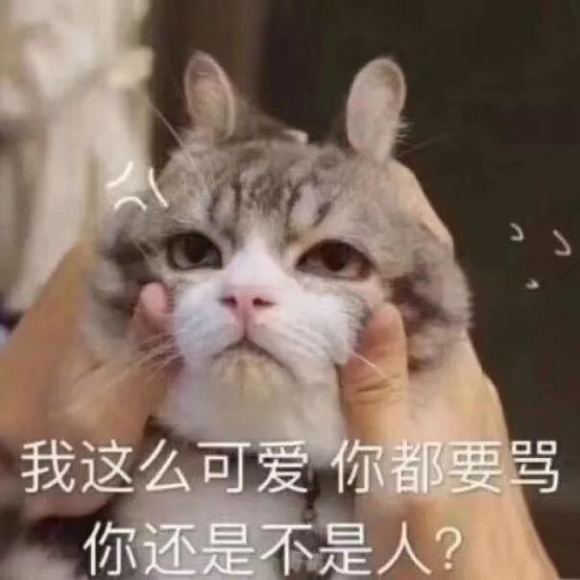 微信近期斗图恶搞表情2020/8/15(二)