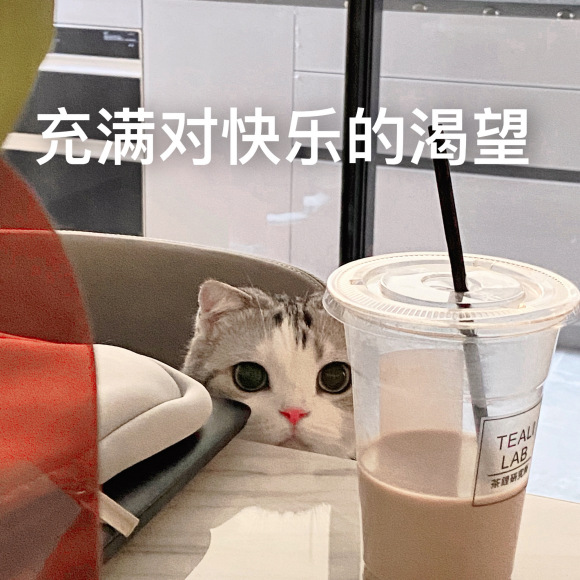 萌萌哒喵星人微信表情包