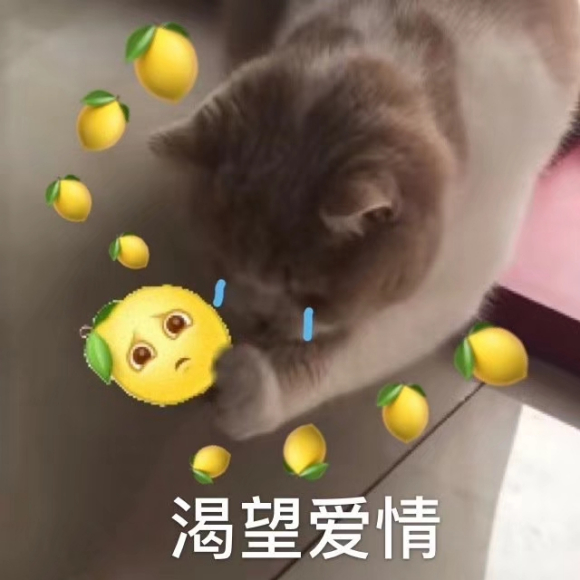 微信近期斗图恶搞表情2020/8/14（二）