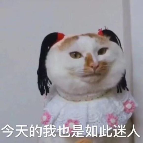 微信近期斗图恶搞表情2020/8/15(二)