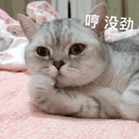 微信近期斗图恶搞表情2020/8/14（二）