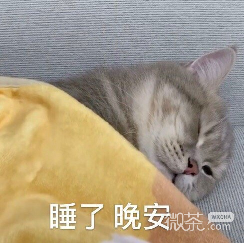 微信近期斗图恶搞表情2020/8/14（二）