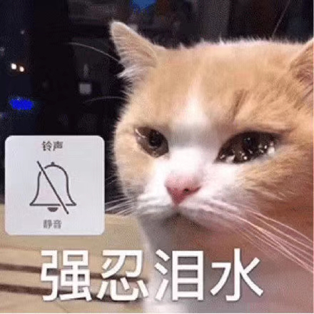 微信近期斗图恶搞表情2020/8/14（二）