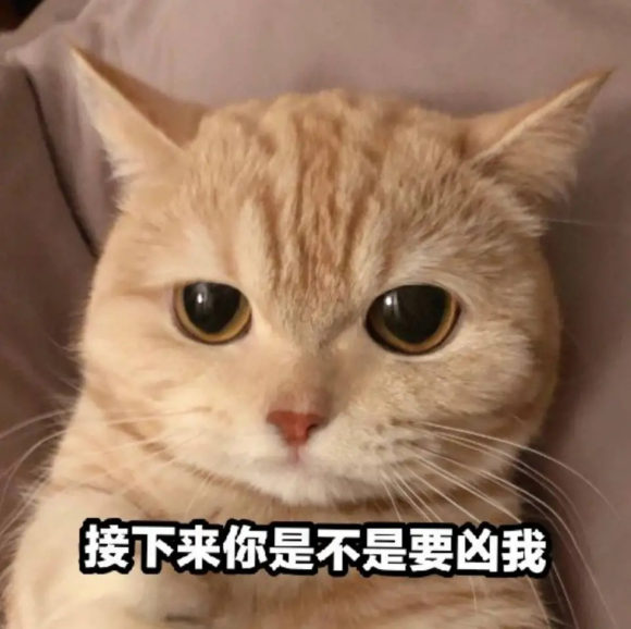 萌萌哒喵星人微信表情包