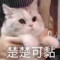 微信近期斗图恶搞表情2020/8/14