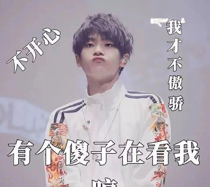 呆萌小伙周震南强势上线微信表情包